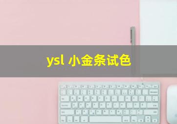 ysl 小金条试色